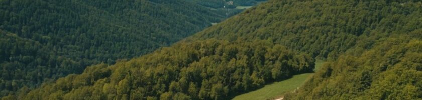 Hartz 4 Vermögen » Realität und finanzielle Herausforderungen